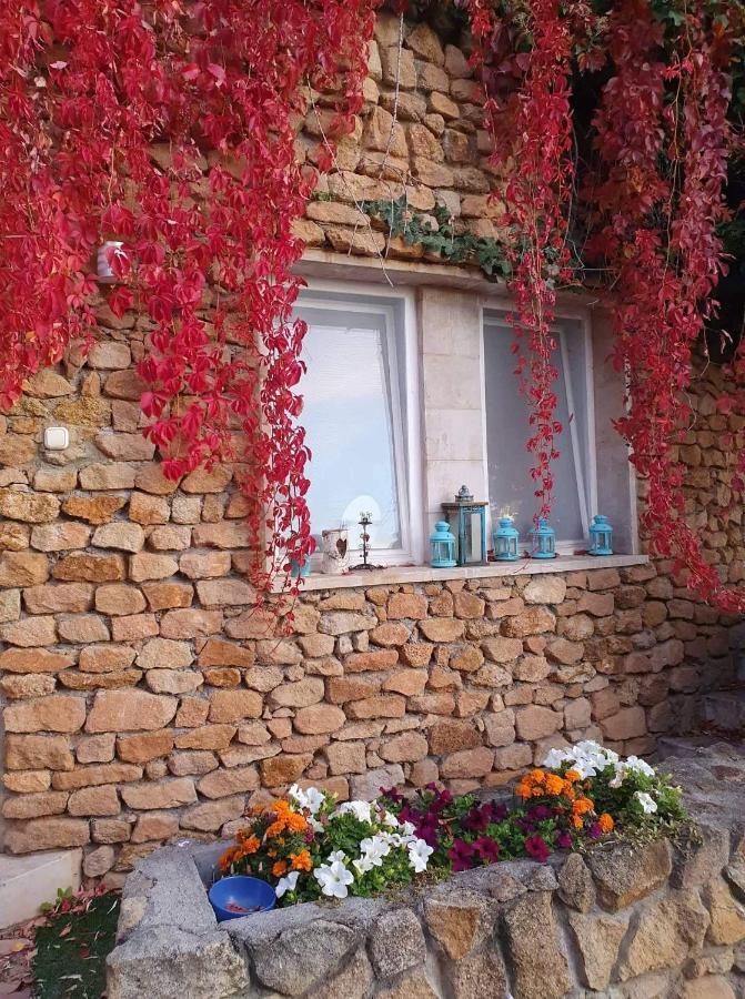 Best View Small House Free Parking Self Check-In Budapest Extérieur photo